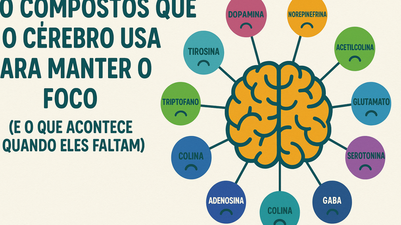 10 Compostos que o Cérebro Usa para Manter o Foco (e o que acontece quando eles faltam)