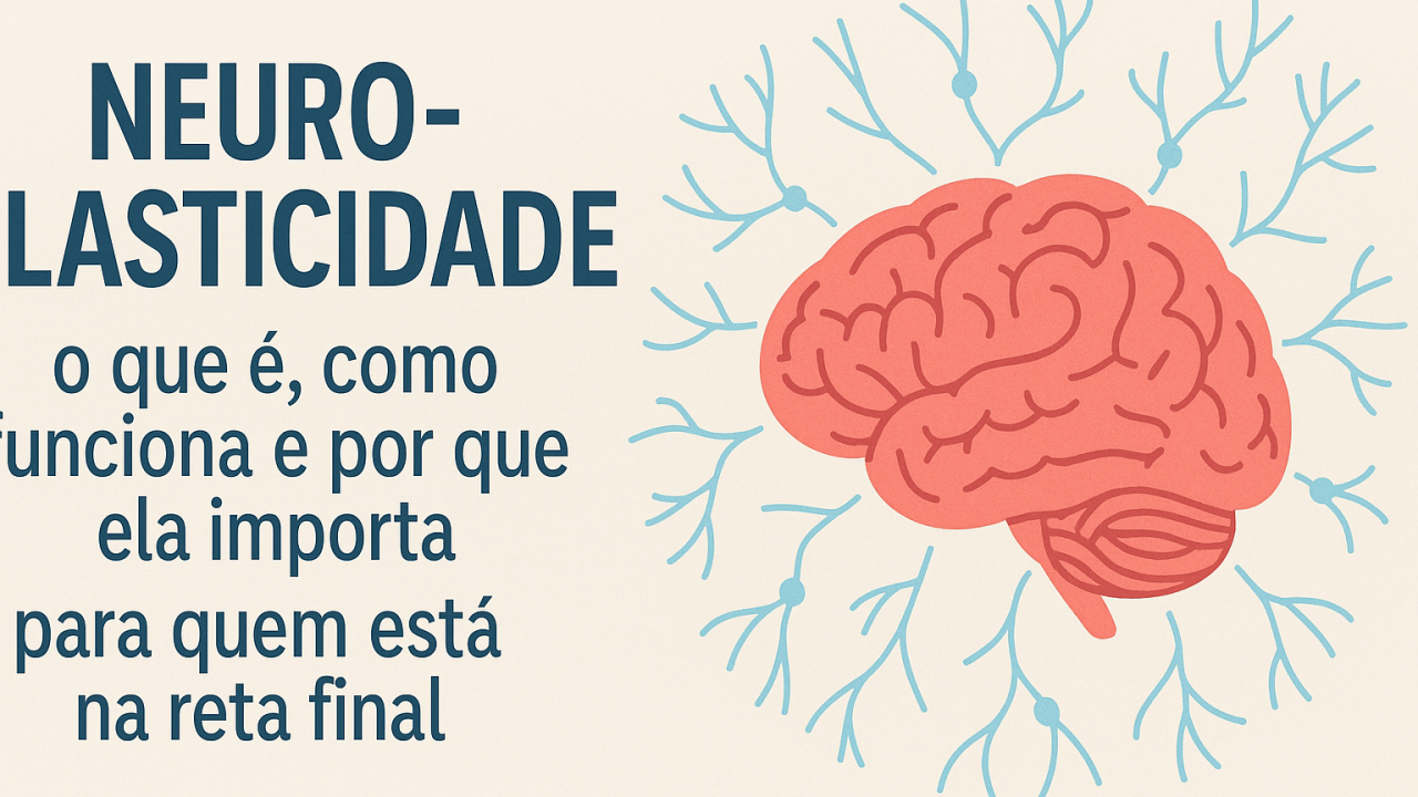 Neuroplasticidade: o que é, como funciona e por que ela importa para quem está na reta final