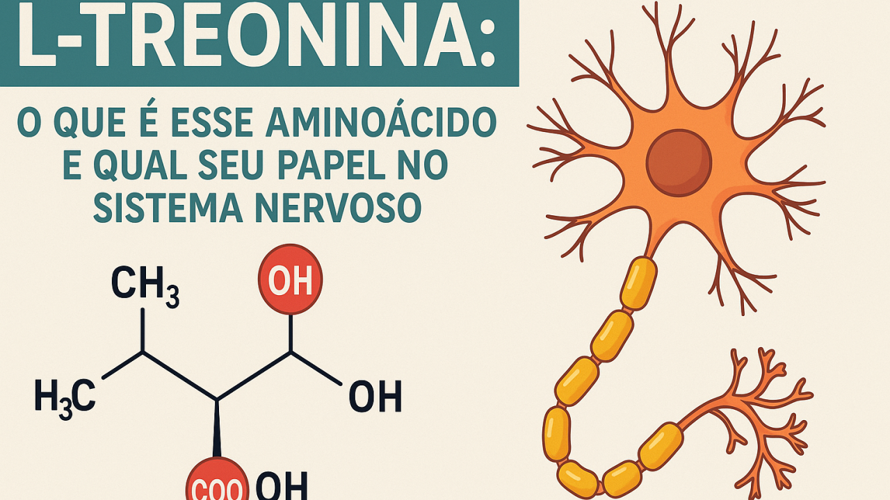 L-Treonina: o que é esse aminoácido e qual seu papel no sistema nervoso